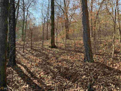 133 Cleveland Dr, Toccoa, GA 30577 photo 13