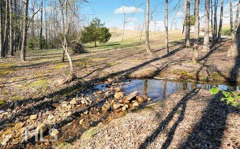 481 Ramblewood Dr, Cornelia, GA 30531 photo 33