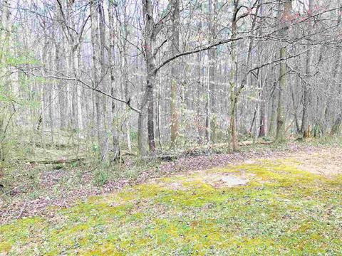 177 Hayes Cir, Rex, GA 30273 photo 51