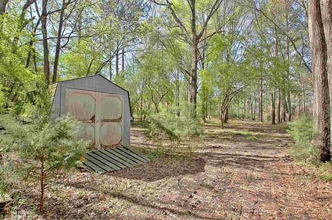 12776 Cattail Ct, Hampton, GA 30228 photo 68