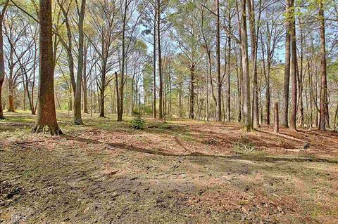12776 Cattail Ct, Hampton, GA 30228 photo 67