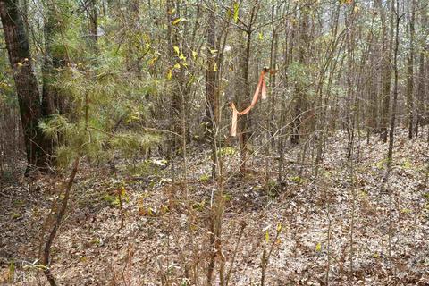 300 Tomme Rd, Lagrange, GA 30240 photo 2