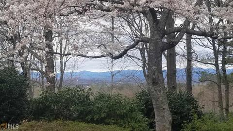 298 Grandveiw Cir, Cornelia, GA 30531 photo 5