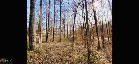 503 River Overlook, Forsyth, GA 31029 photo 2