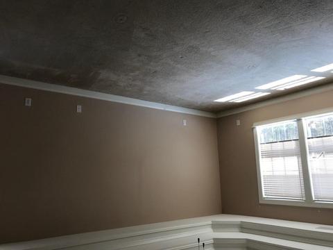 7418 Redbud Loop, Lithonia, GA 30038 photo 31