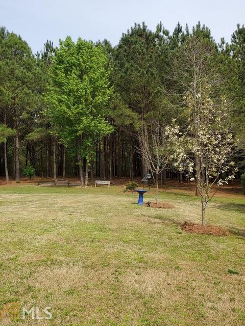 717 Weathersby Chase, Hampton, GA 30228 photo 32