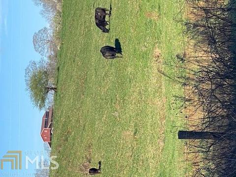 855 Coker Rd, Toccoa, GA 30577 photo 49