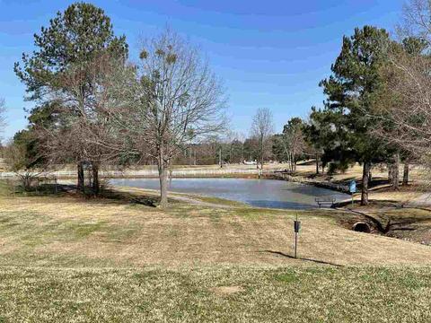 4 Mill St, Jackson, GA 30233 photo 19
