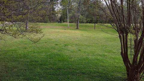 918 Hampton Locust Grove Rd, Hampton, GA 30228 photo 33