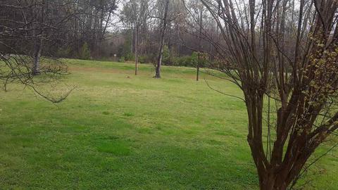918 Hampton Locust Grove Rd, Hampton, GA 30228 photo 31