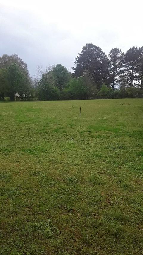 918 Hampton Locust Grove Rd, Hampton, GA 30228 photo 28