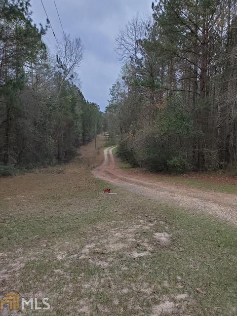 456 Horne, Roberta, GA 31078 photo 1