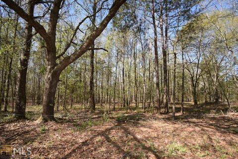 1137 Farm Rd, Colbert, GA 30628 photo 37