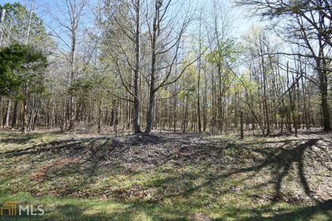 1137 Farm Rd, Colbert, GA 30628 photo 54