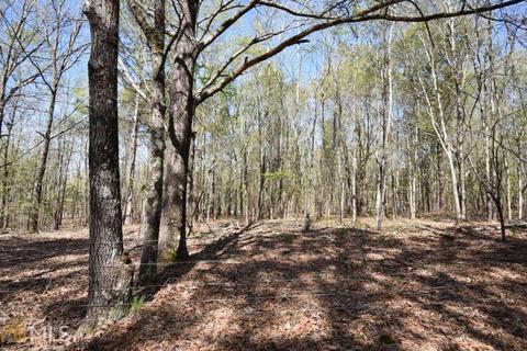 1137 Farm Rd, Colbert, GA 30628 photo 50