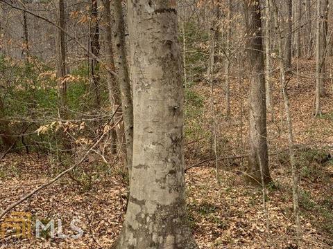 579 Thornton Trl, Toccoa, GA 30577 photo 19