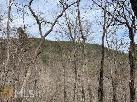 579 Thornton Trl, Toccoa, GA 30577 photo 9