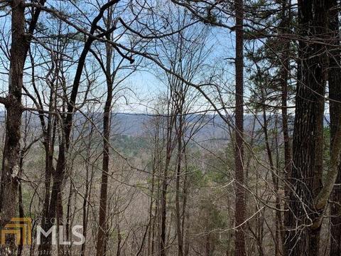 579 Thornton Trl, Toccoa, GA 30577 photo 11