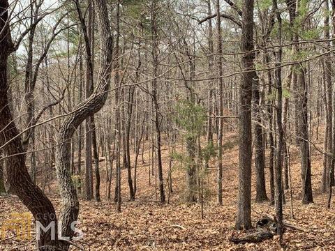 579 Thornton Trl, Toccoa, GA 30577 photo 18