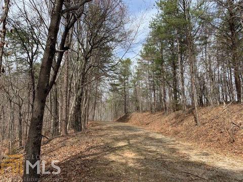 579 Thornton Trl, Toccoa, GA 30577 photo 16