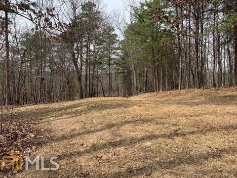 579 Thornton Trl, Toccoa, GA 30577 photo 6