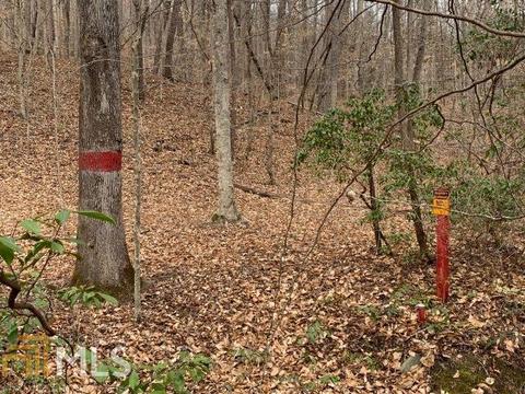 579 Thornton Trl, Toccoa, GA 30577 photo 12