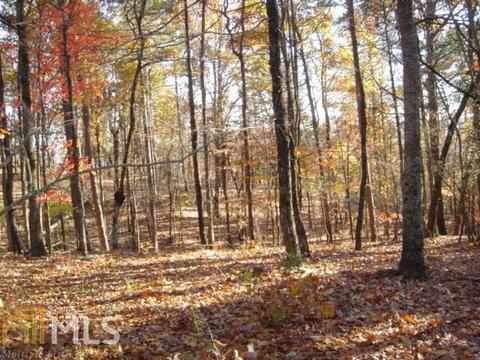 579 Thornton Trl, Toccoa, GA 30577 photo 10