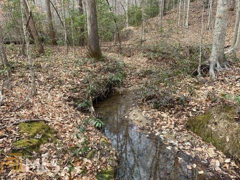 579 Thornton Trl, Toccoa, GA 30577 photo 22