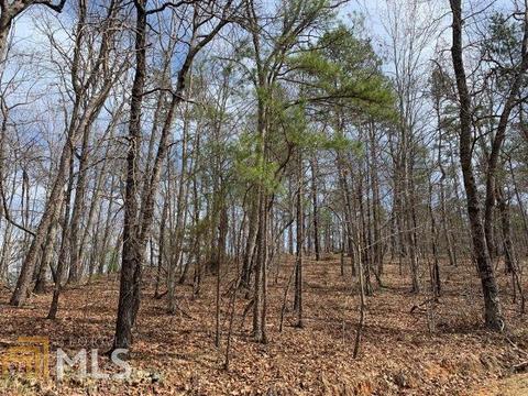 579 Thornton Trl, Toccoa, GA 30577 photo 20