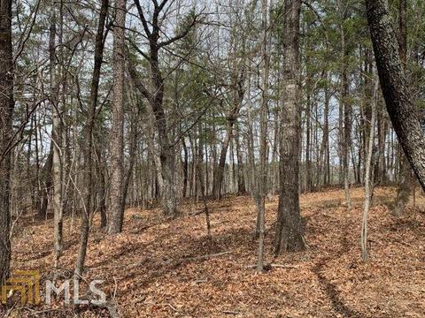 579 Thornton Trl, Toccoa, GA 30577 photo 17