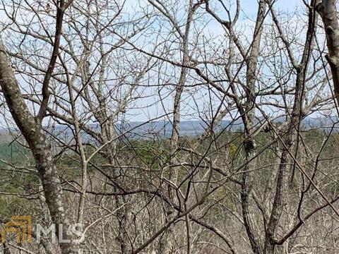 579 Thornton Trl, Toccoa, GA 30577 photo 15
