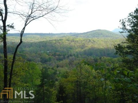 579 Thornton Trl, Toccoa, GA 30577 photo 5