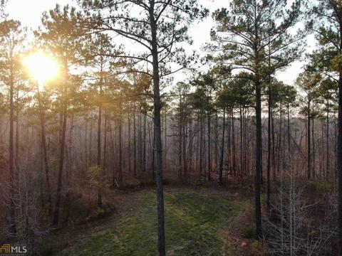 2697 Boxankle Rd, Forsyth, GA 31029 photo 10