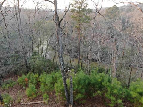 2697 Boxankle Rd, Forsyth, GA 31029 photo 18