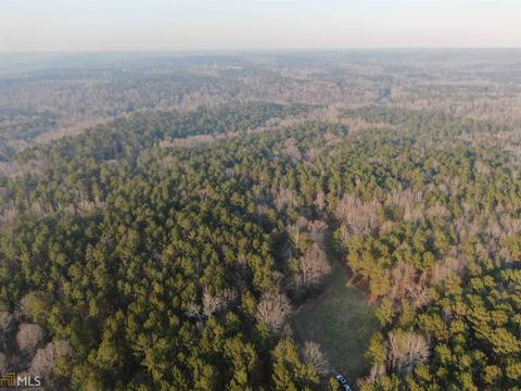 2697 Boxankle Rd, Forsyth, GA 31029 photo 6
