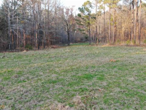 2697 Boxankle Rd, Forsyth, GA 31029 photo 7