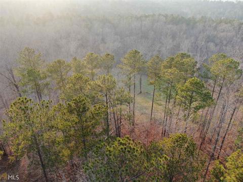 2697 Boxankle Rd, Forsyth, GA 31029 photo 14