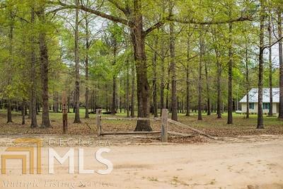1345 Braddy Rd, Bartow, GA 30413 photo 3