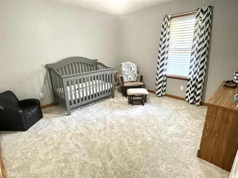 1345 Braddy Rd, Bartow, GA 30413 photo 46
