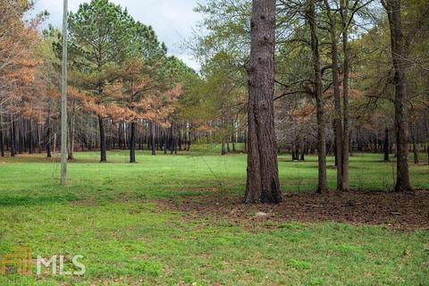 1345 Braddy Rd, Bartow, GA 30413 photo 68