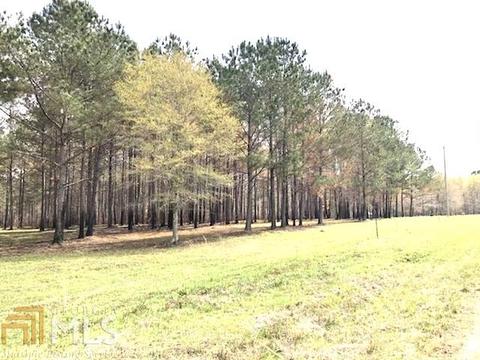1345 Braddy Rd, Bartow, GA 30413 photo 67