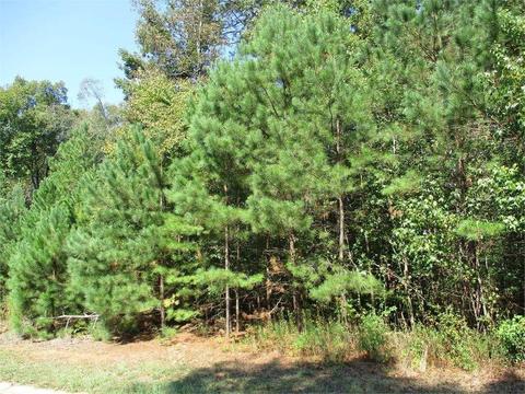 1080 Riverhill Dr, Bishop, GA 30621 photo 1
