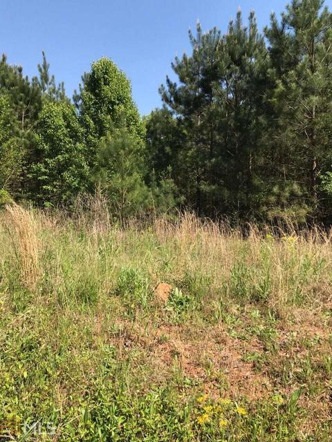 4275 Jonesboro Rd, Hampton, GA 30228 photo 10