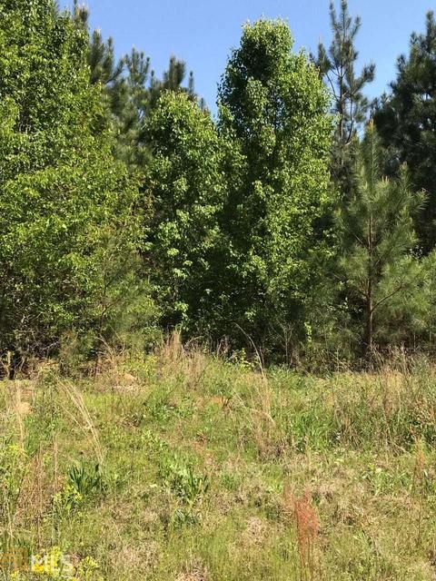 4275 Jonesboro Rd, Hampton, GA 30228 photo 1