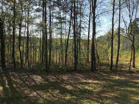 1422 Fernside Dr, Toccoa, GA 30577 photo 4