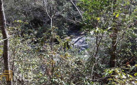 927 Long Rd, Toccoa, GA 30577 photo 43