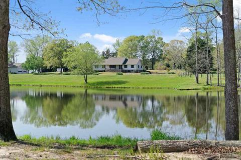 595 Five Points Rd, Milner, GA 30257 photo 47