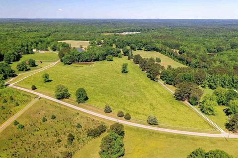 595 Five Points Rd, Milner, GA 30257 photo 55