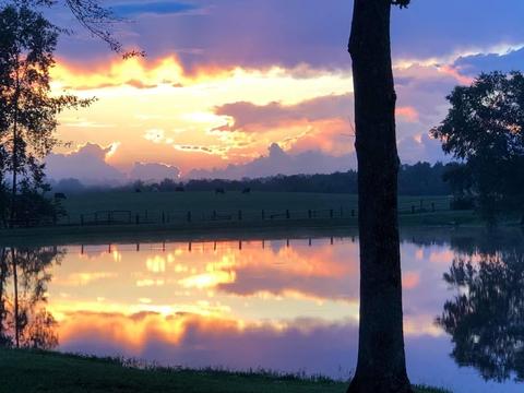 595 Five Points Rd, Milner, GA 30257 photo 53