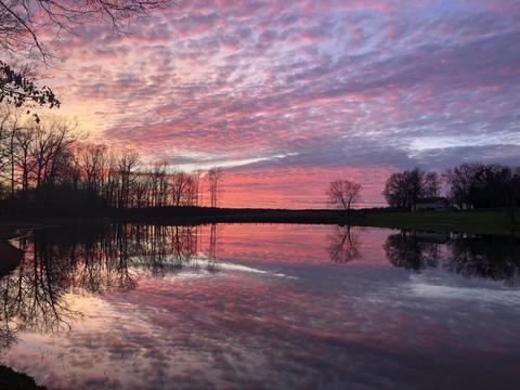 595 Five Points Rd, Milner, GA 30257 photo 50